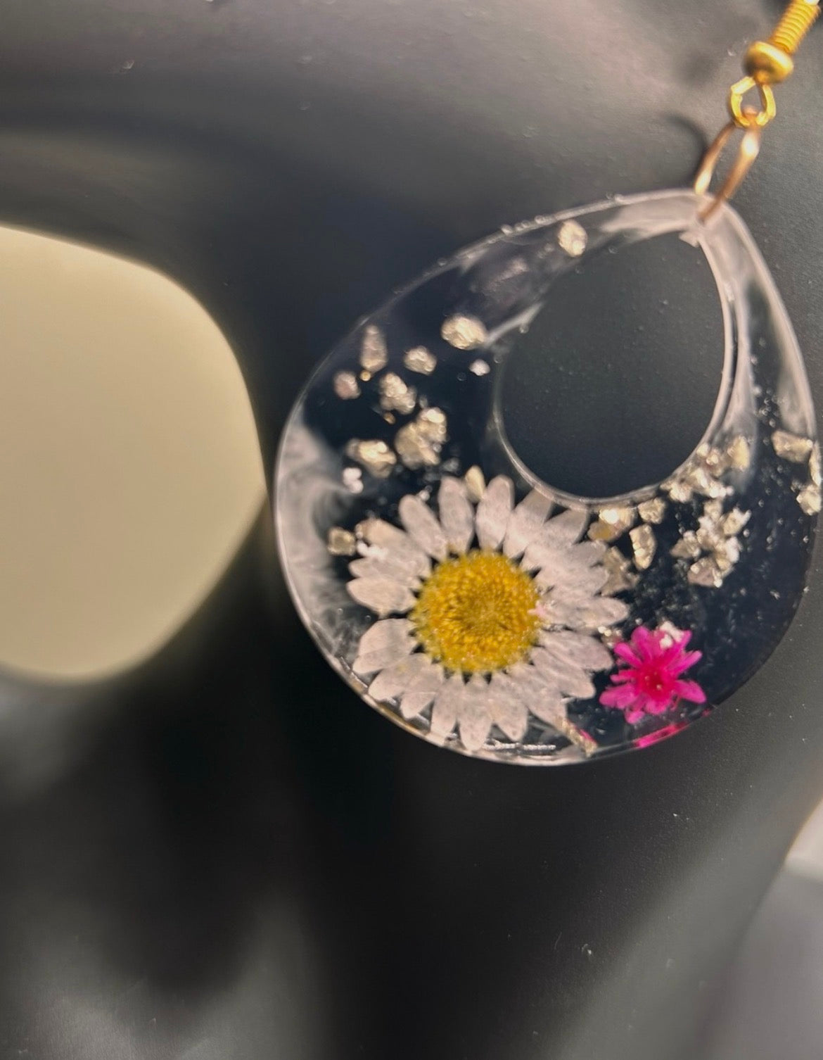 Daisy Midnight Bloom